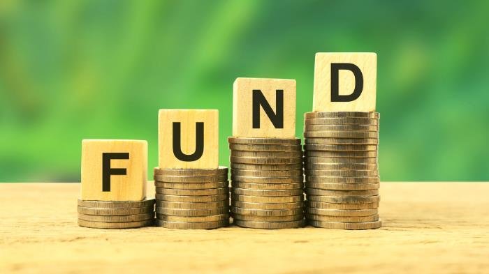 Como funciona e quais são os tipos de fundos de investimentos?